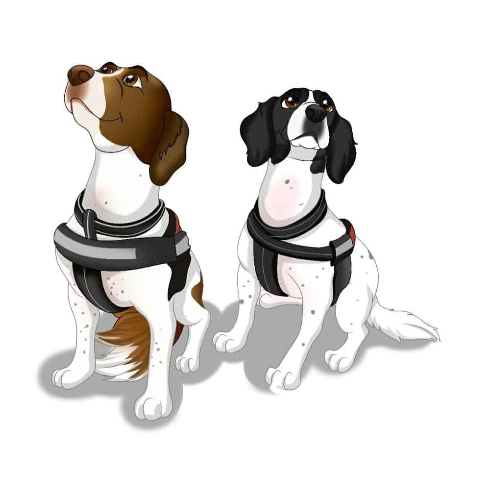 Cartoon image of Taz and Missy - OWAD Environment's highly trained threatened species and Koala detection dogs